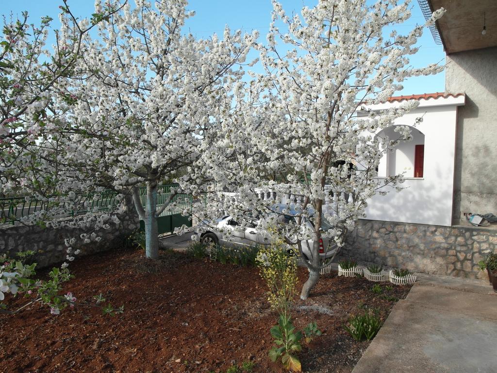 Apartment Antonio Sibenik Luaran gambar